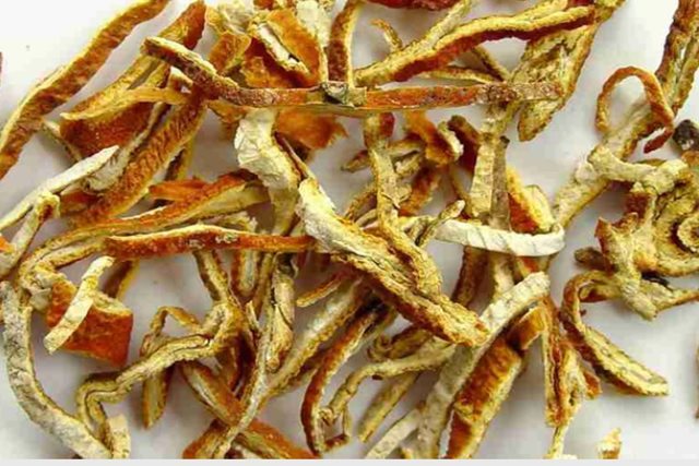 4 vị thuốc giúp giảm trào ngược dạ dày – thực quản